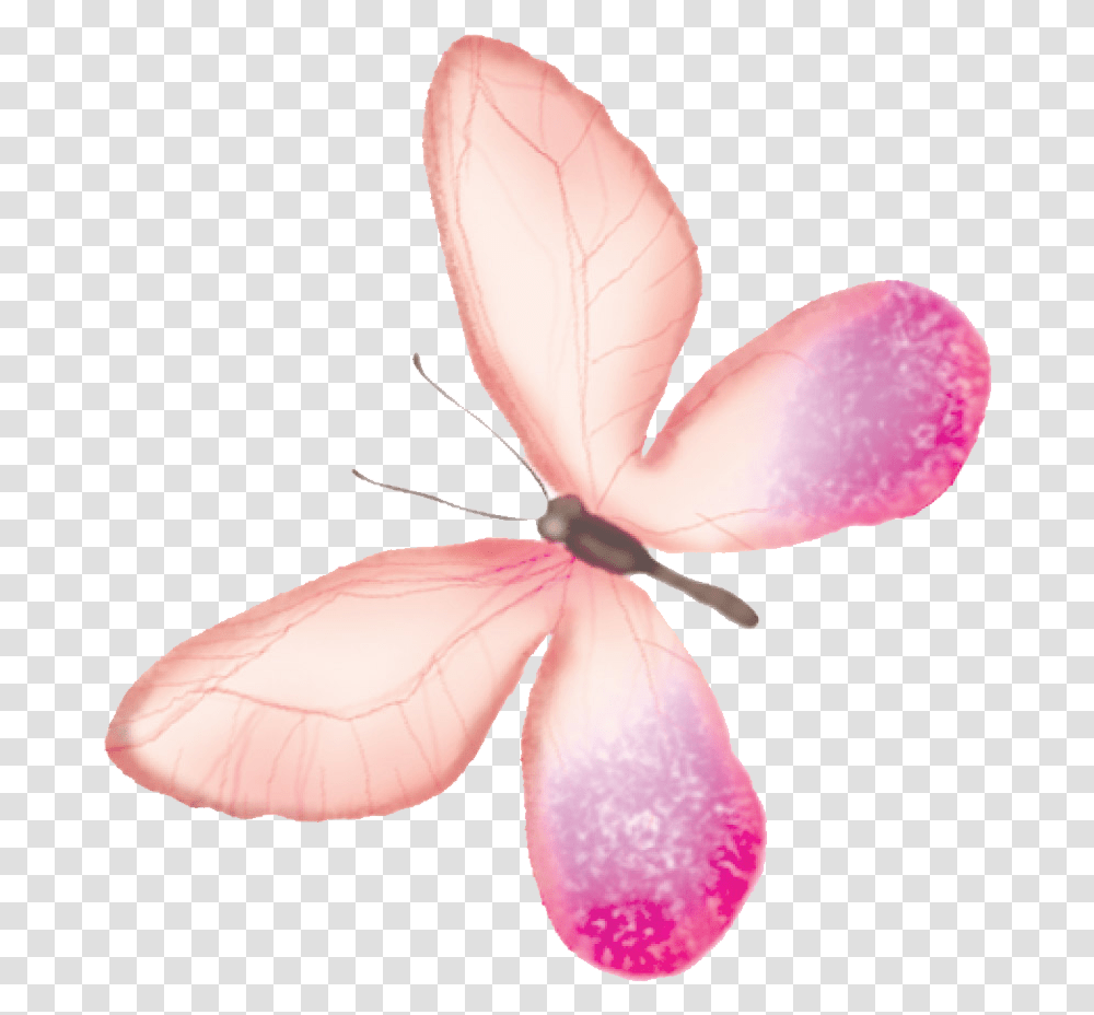 Butterfly Transparency And Translucency Pink Butterfly Watercolor Backgrounds, Petal, Flower, Plant, Blossom Transparent Png