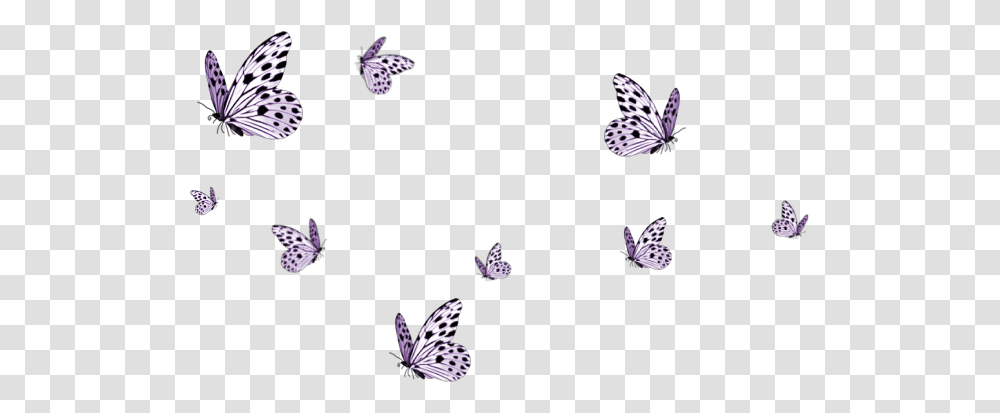 Butterfly Tumblr Ftestickers Sticker Pink Flying Butterfly, Accessories, Pattern, Floral Design Transparent Png