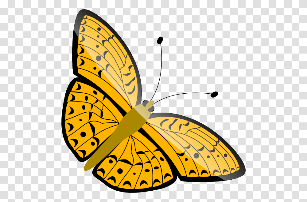 Butterfly Vector Gif, Insect, Invertebrate, Animal, Banana Transparent Png