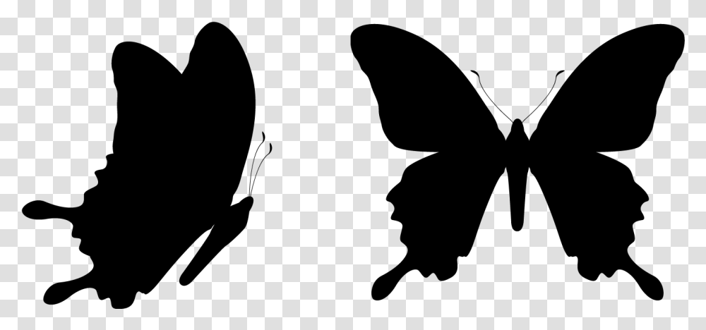 Butterfly Vector Graphics Clip Art Royalty Free Illustration Light Blue Butterfly, Gray Transparent Png