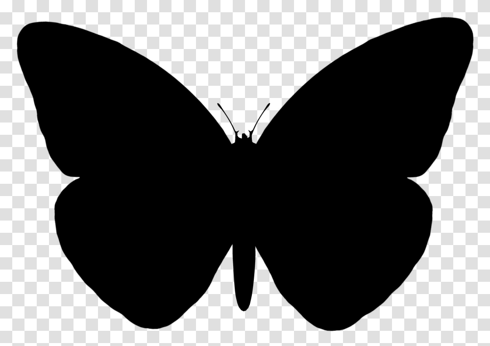 Butterfly Vector Graphics Portable Network Graphics Silhouette Butterfly Vector, Gray, World Of Warcraft Transparent Png