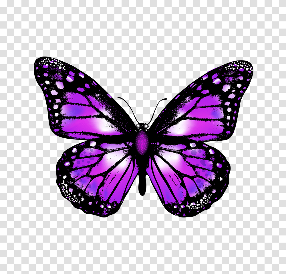 Butterfly Vector Image Background Purple Butterfly, Insect, Invertebrate, Animal, Chandelier Transparent Png