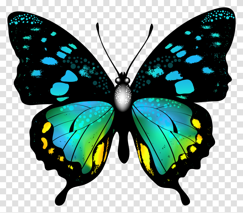 Butterfly Wallpaper Butterfly Images Hd Transparent Png