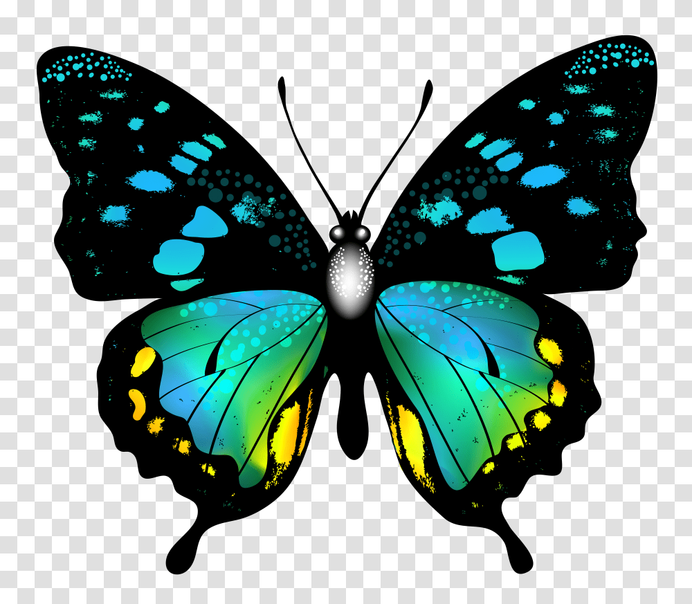 Butterfly Wallpaper Images Transparent Png