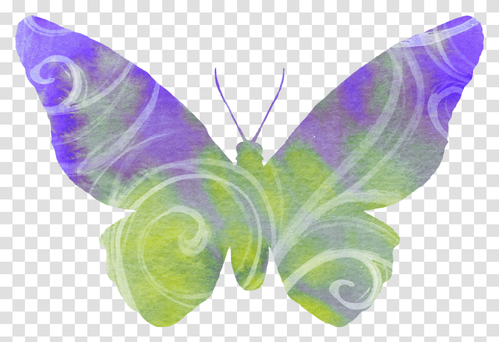 Butterfly Watercolor, Moth, Insect, Invertebrate, Animal Transparent Png