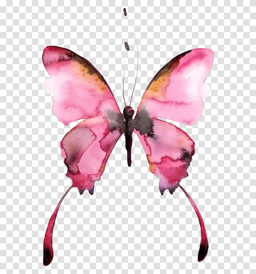 Butterfly Watercolor Picture Pilikfrosya Freetoedit Butterfly Watercolor Art, Insect, Invertebrate, Animal, Moth Transparent Png