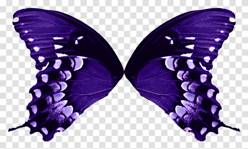 Butterfly Wing Amp Free Butterfly Wing, Pattern, Ornament, Purple, Invertebrate Transparent Png