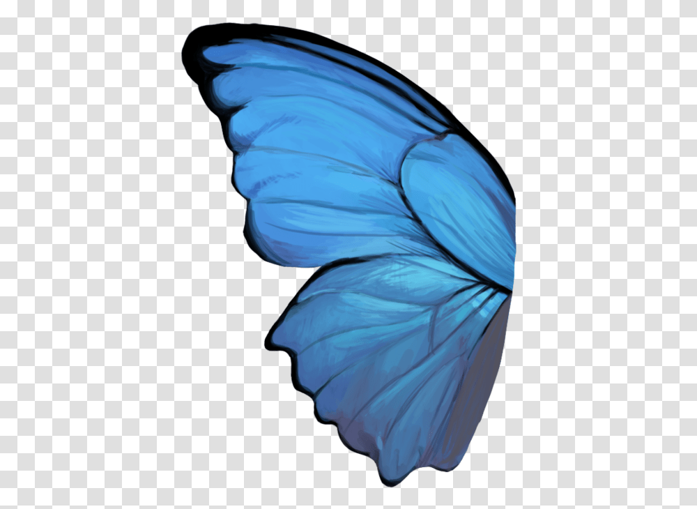 Butterfly Wing Blue Butterfly Wings, Invertebrate, Animal, Sea Life, Bird Transparent Png