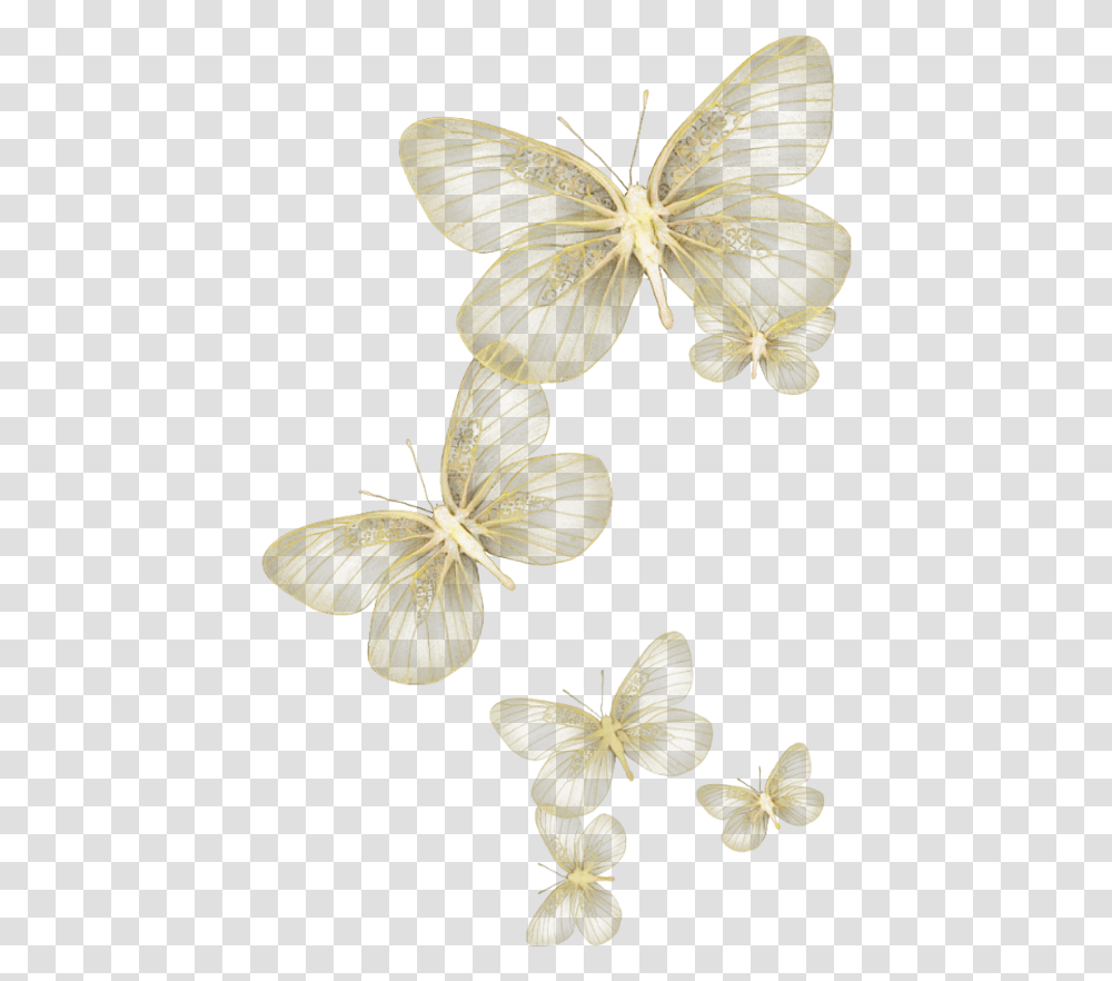 Butterfly Wing Moth Fly Sky Yellow Glitter Wind Flying White Butterfly Background, Plant, Leaf, Anther, Flower Transparent Png