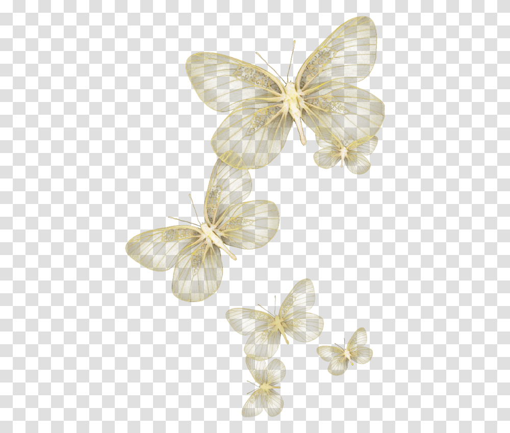 Butterfly Wing Moth Fly Sky Yellow Glitter Wind White Butterfly, Plant, Leaf, Anther, Flower Transparent Png