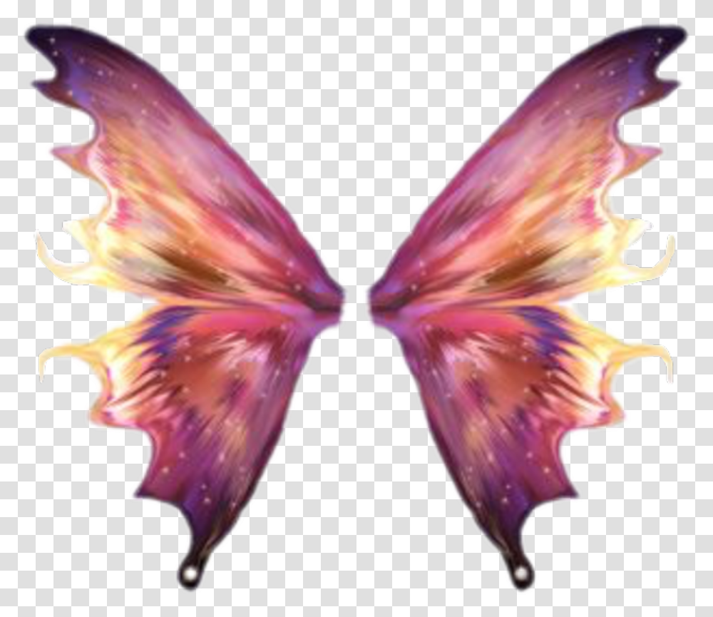 Butterfly Wing Wings Freetoedit Fairy Wings, Ornament, Pattern, Fractal, Bird Transparent Png