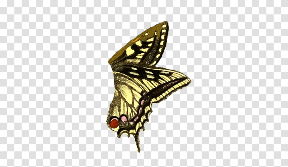Butterfly Wings Background Frog With Butterflies Wings, Insect, Invertebrate, Animal, Staircase Transparent Png