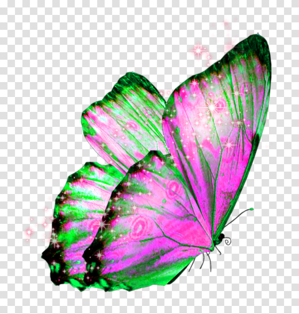 Butterfly Wings Butterflywings Fairy, Light, Purple, Flare, Plant Transparent Png