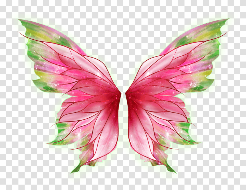 Butterfly Wings Butterflywings Pinkwings Fairy Butterfly Wings Background, Plant, Flower, Blossom, Petal Transparent Png