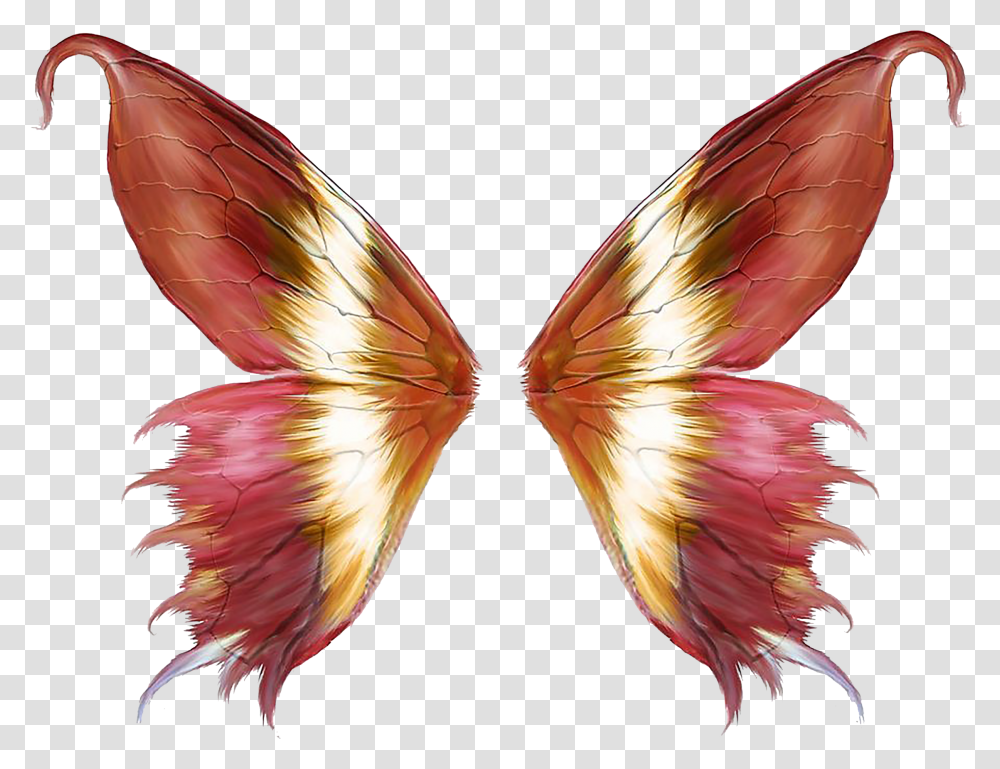 Butterfly Wings Clipart Download Butterfly Wings Vector, Insect, Invertebrate, Animal, Bird Transparent Png
