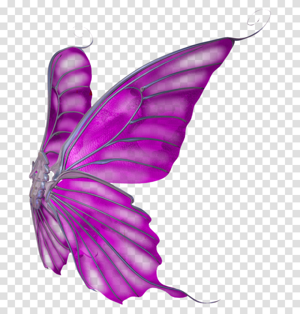 Butterfly Wings Clipart Download, Insect, Invertebrate, Animal, Pattern Transparent Png