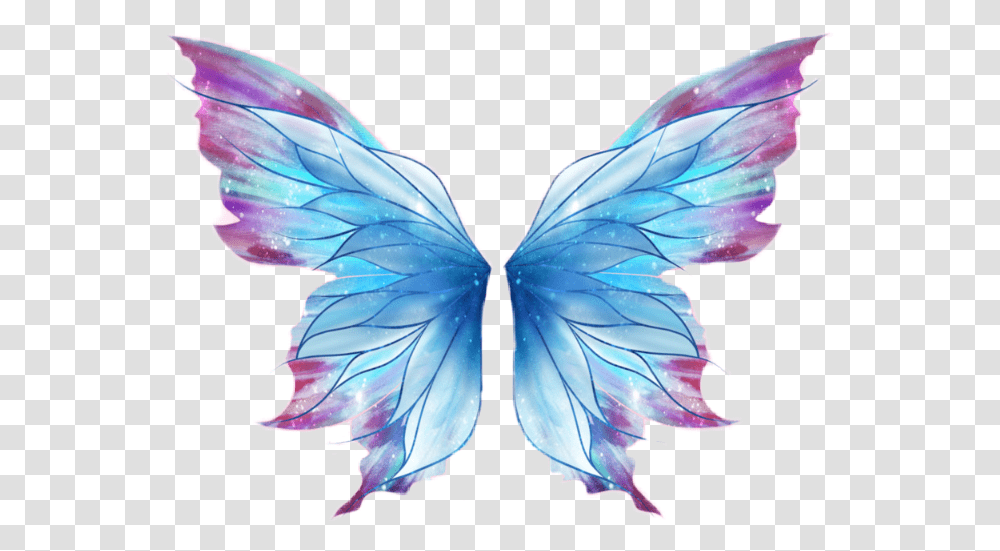 Butterfly Wings Download Fairy Wings, Ornament, Pattern, Insect, Invertebrate Transparent Png