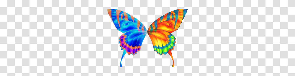 Butterfly Wings Image, Dye, Pattern, Ornament, Person Transparent Png