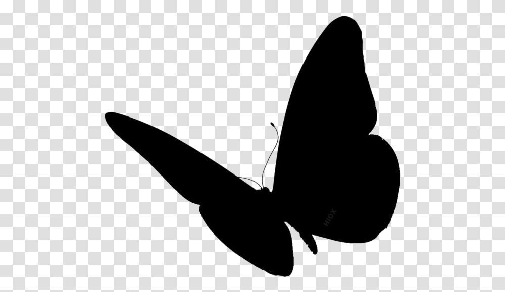 Butterfly Wings Image With Background Butterfly Silhouette Side View, Bow, Leisure Activities, Dance Pose, Photography Transparent Png