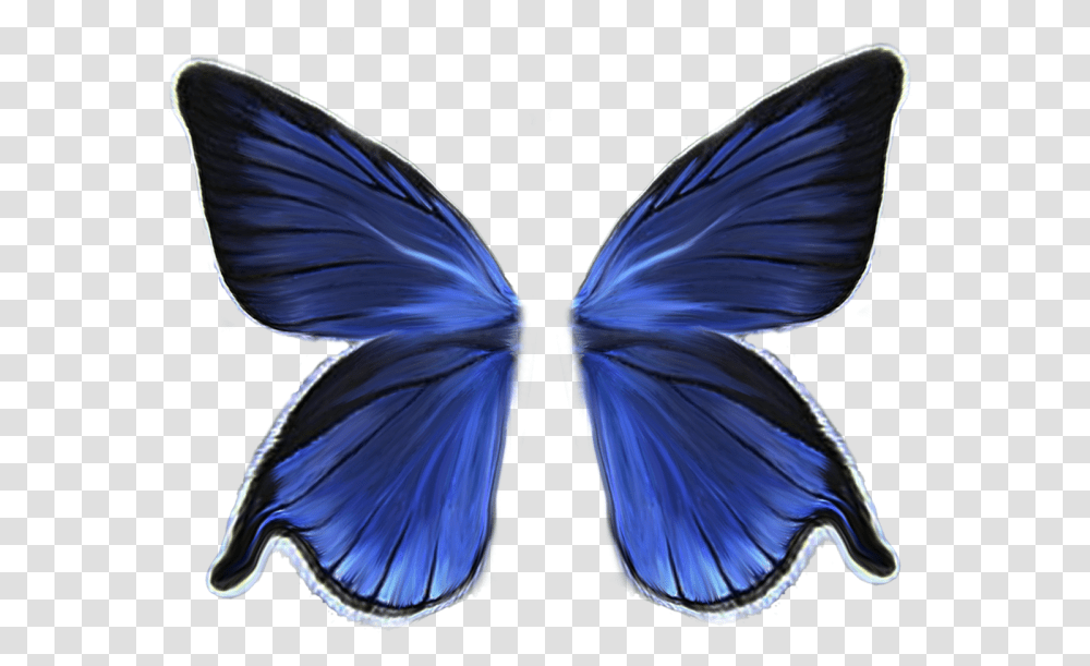 Butterfly Wings No Background, Insect, Invertebrate, Animal, Pattern Transparent Png