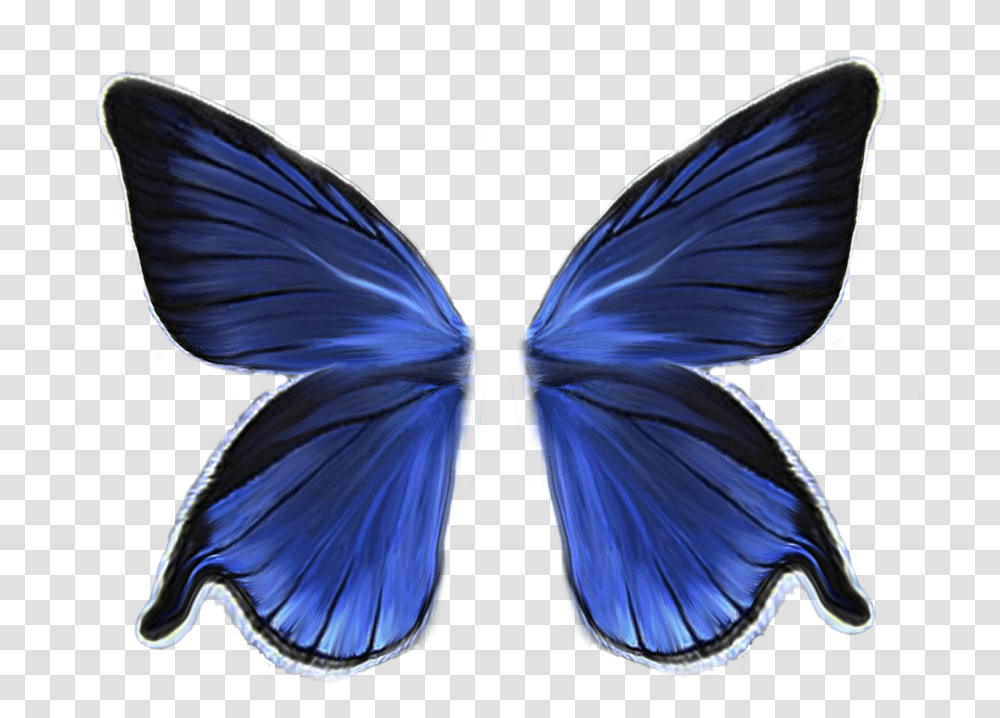 Butterfly Wings No Background, Ornament, Pattern, Bird, Animal Transparent Png