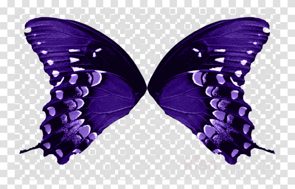 Butterfly Wings No Background, Pattern, Ornament Transparent Png