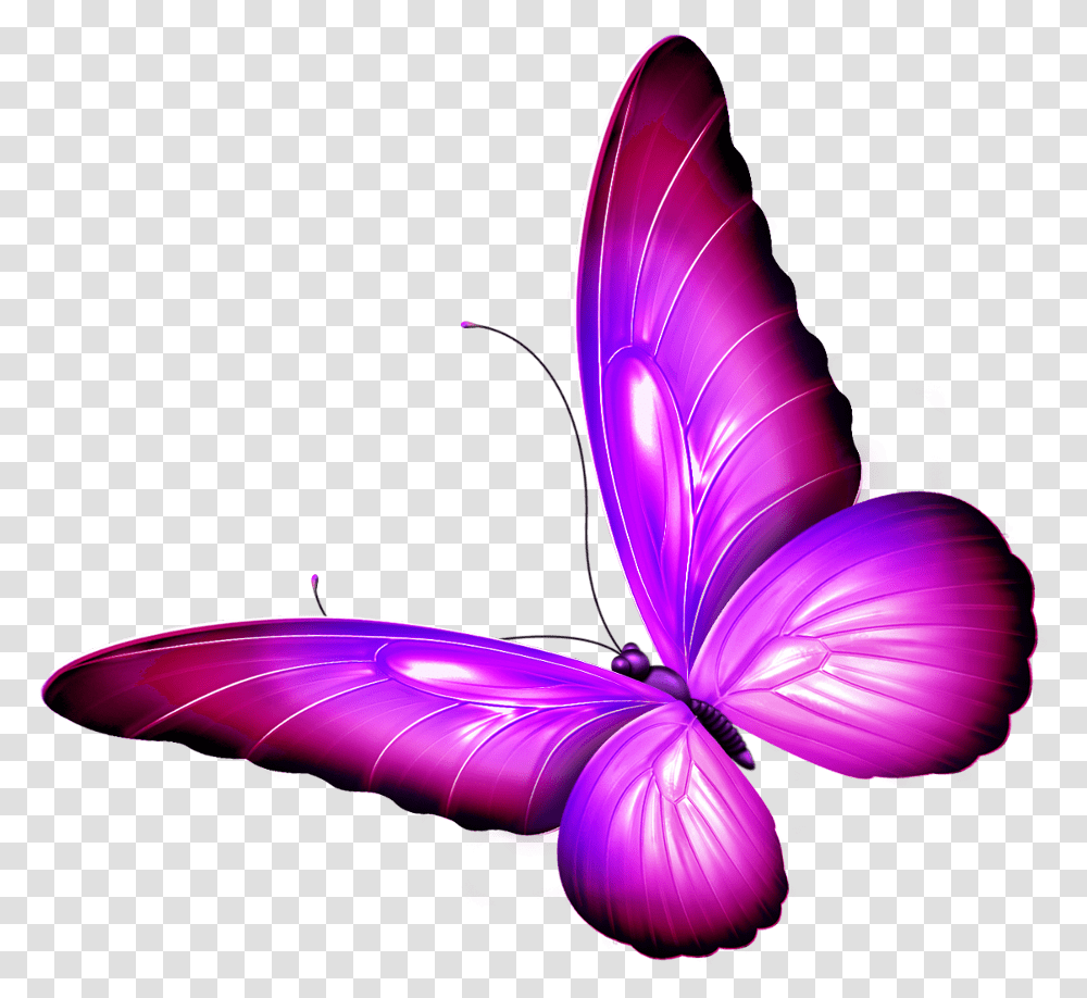 Butterfly Wings Pink Purple Shaded Wingedcreatures Brush Footed Butterfly, Lamp, Plant, Flower, Blossom Transparent Png