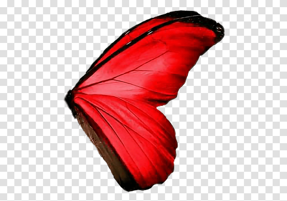 Butterfly Wings Red Amazing Red Butterfly Wings, Animal Transparent Png