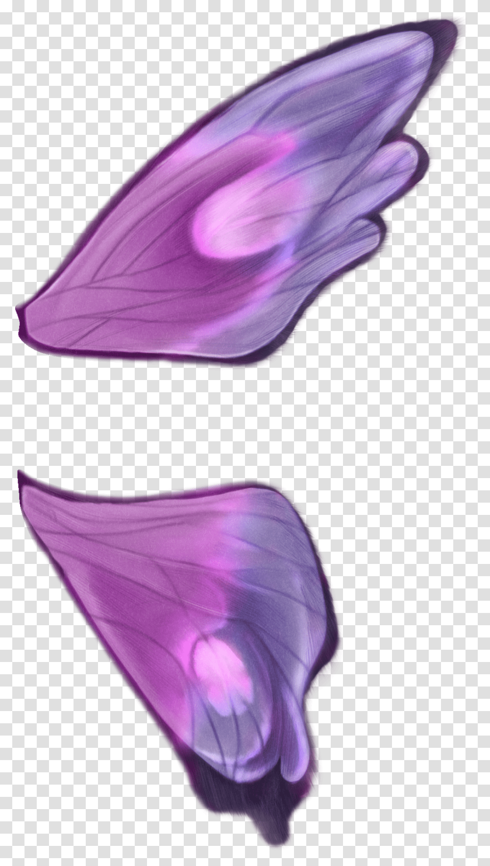 Butterfly Wings Wavefront .obj File, Purple, Plant, Petal, Flower Transparent Png