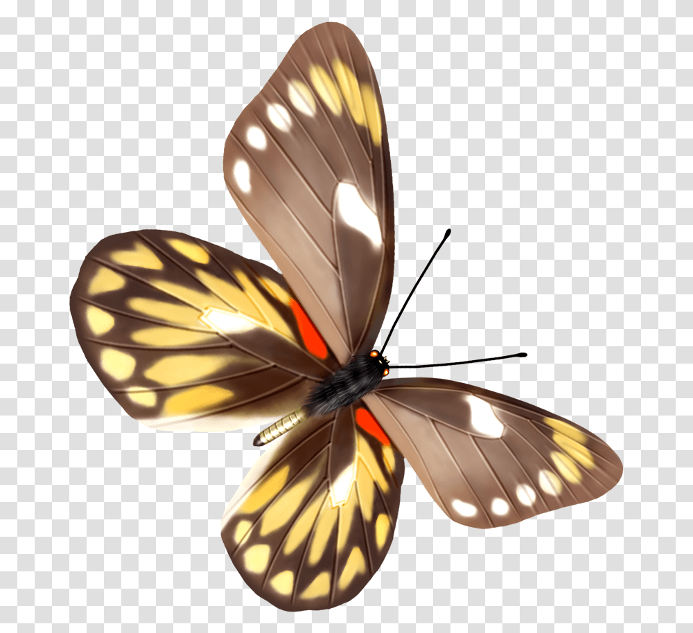 Butterfly With Background, Lamp, Insect, Invertebrate, Animal Transparent Png
