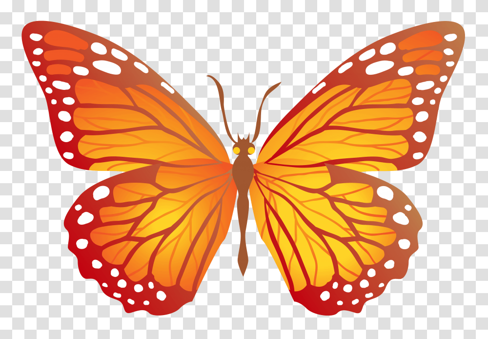 Butterfly With Yellow, Pattern, Insect, Invertebrate, Animal Transparent Png