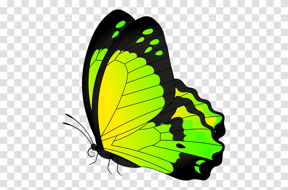Butterfly Yellow Green Clip Art Gallery, Insect, Invertebrate, Animal Transparent Png