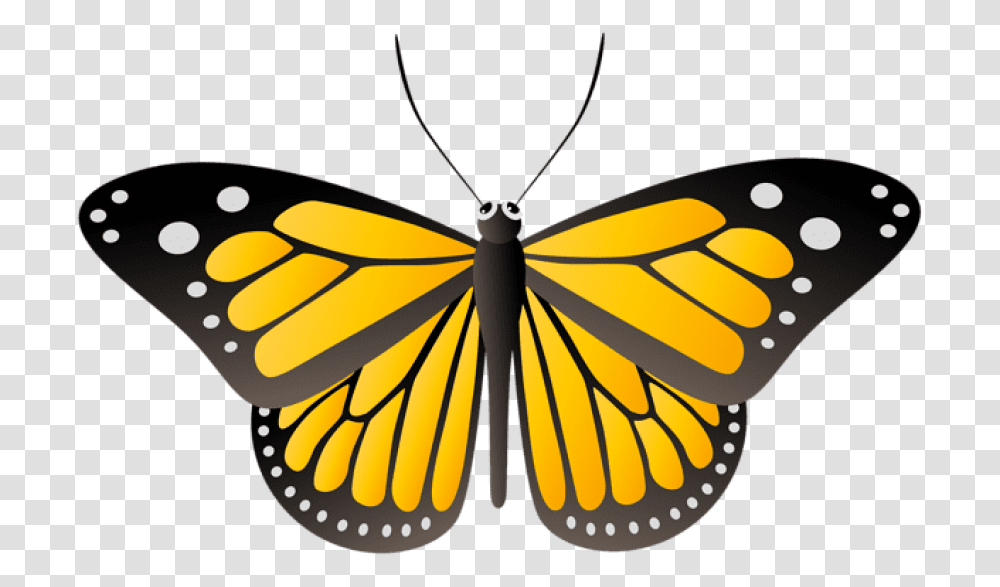 Butterfly Yellow Yellow Clipart Butterfly, Monarch, Insect, Invertebrate, Animal Transparent Png