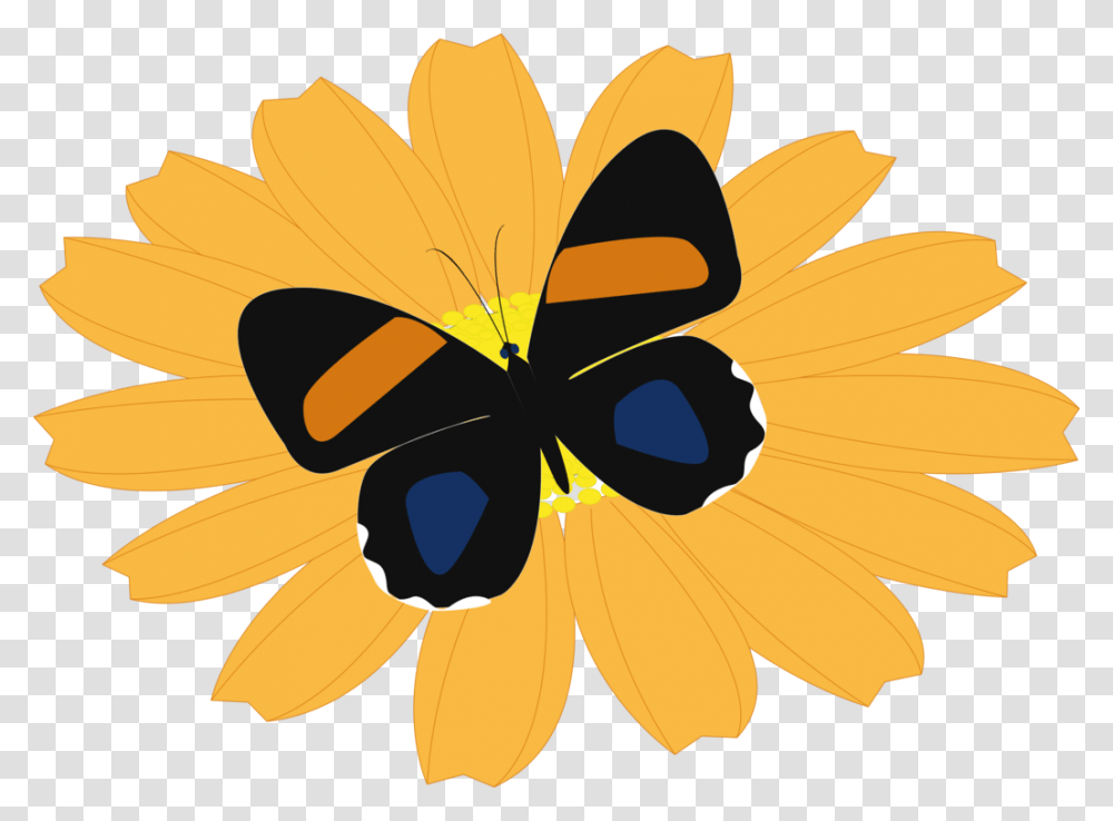 Butterflyflowerhoney Bee Butterfly, Plant, Blossom Transparent Png