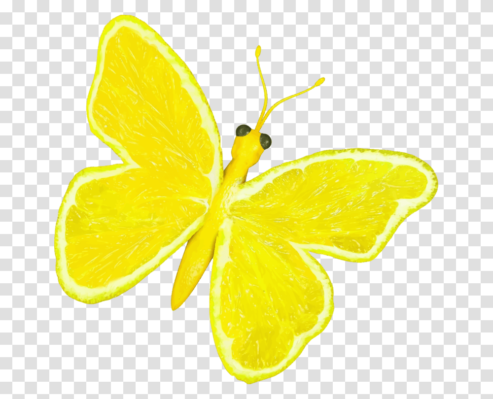 Butterflylemon Limelemon Cartoon Photos Of A Yellow Butterfly, Citrus Fruit, Plant, Food Transparent Png