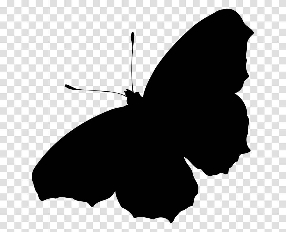Butterflyplantflower Butterfly Silhouette, Gray, World Of Warcraft Transparent Png