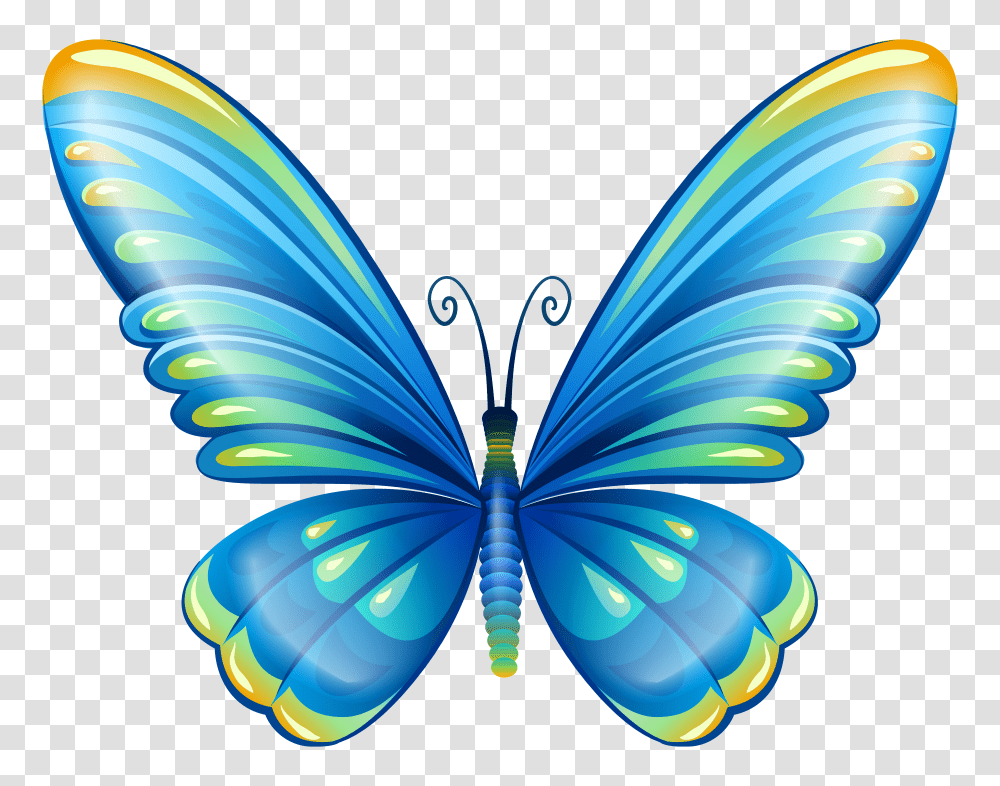 Butterflys Butterfly Transparent Png
