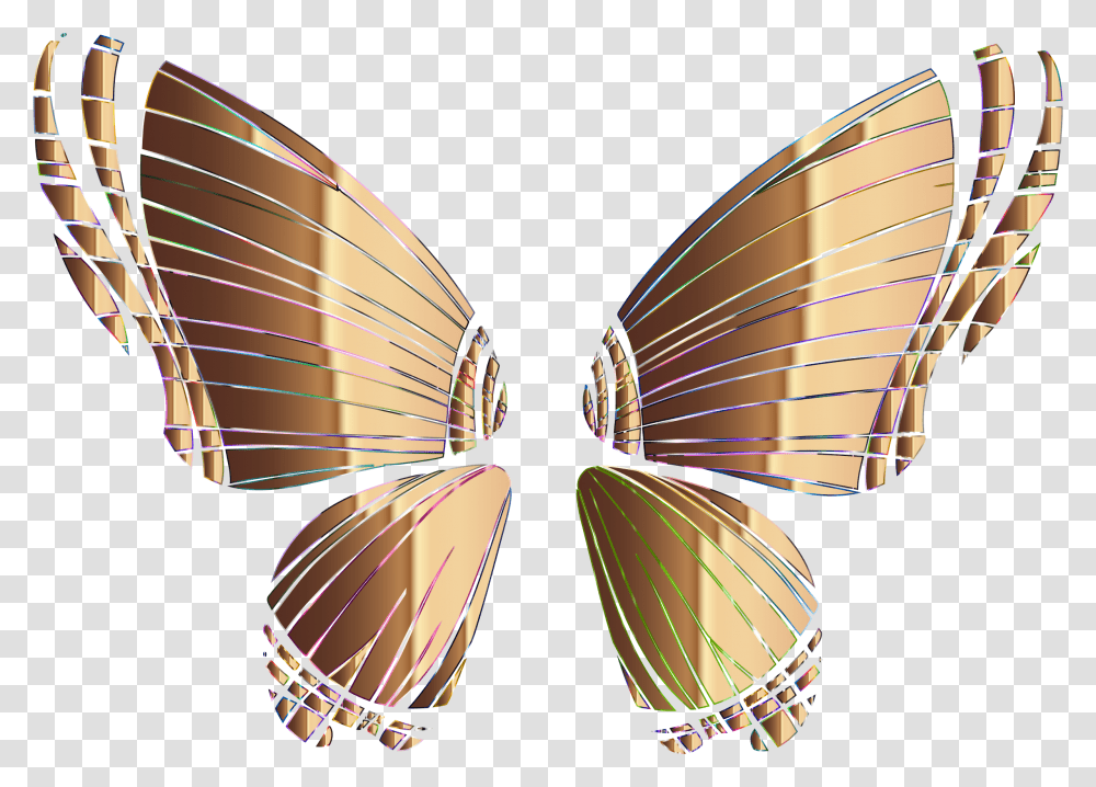 Butterflysymmetrymoth Alas De Mariposa, Clam, Seashell, Invertebrate, Sea Life Transparent Png