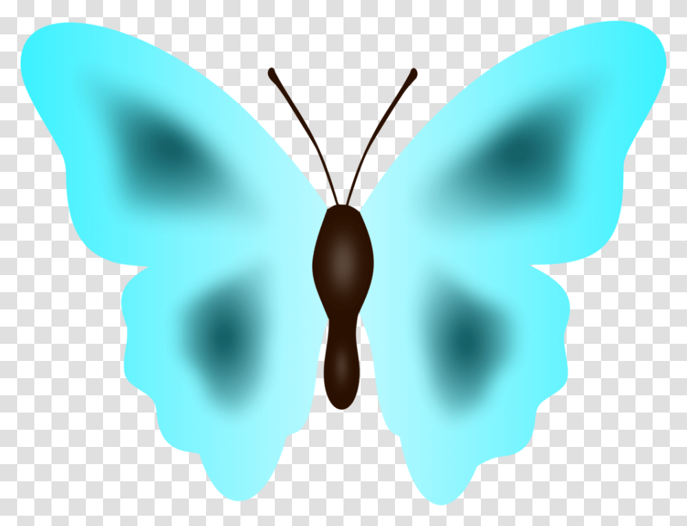 Butterflysymmetrymoth Lycaenid, Insect, Invertebrate, Animal, Balloon Transparent Png