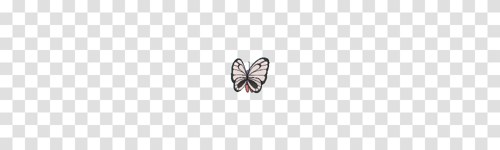 Butterfree, Insect, Invertebrate, Animal, Butterfly Transparent Png