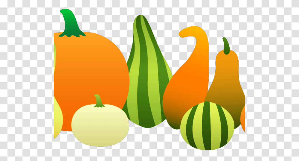 Butternut Squash Clipart Pumpkins And Gourds Clip Art, Plant, Food, Fruit, Produce Transparent Png