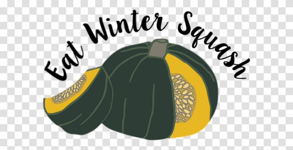 Butternut Squash Illustration, Plant, Fruit, Food Transparent Png