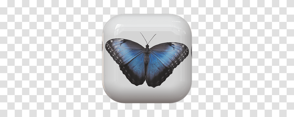 Button Animals, Insect, Invertebrate, Butterfly Transparent Png