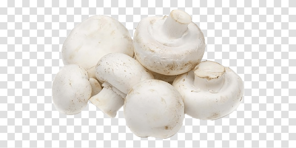 Button Mushroom, Plant, Fungus, Agaric, Amanita Transparent Png
