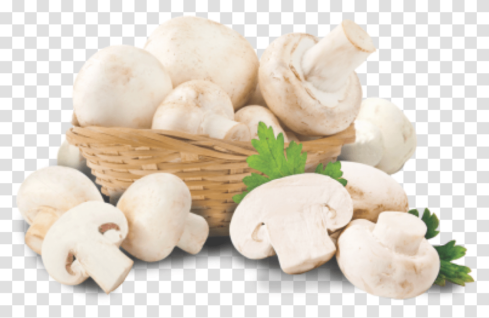 Button Mushroom, Plant, Fungus, Agaric, Egg Transparent Png