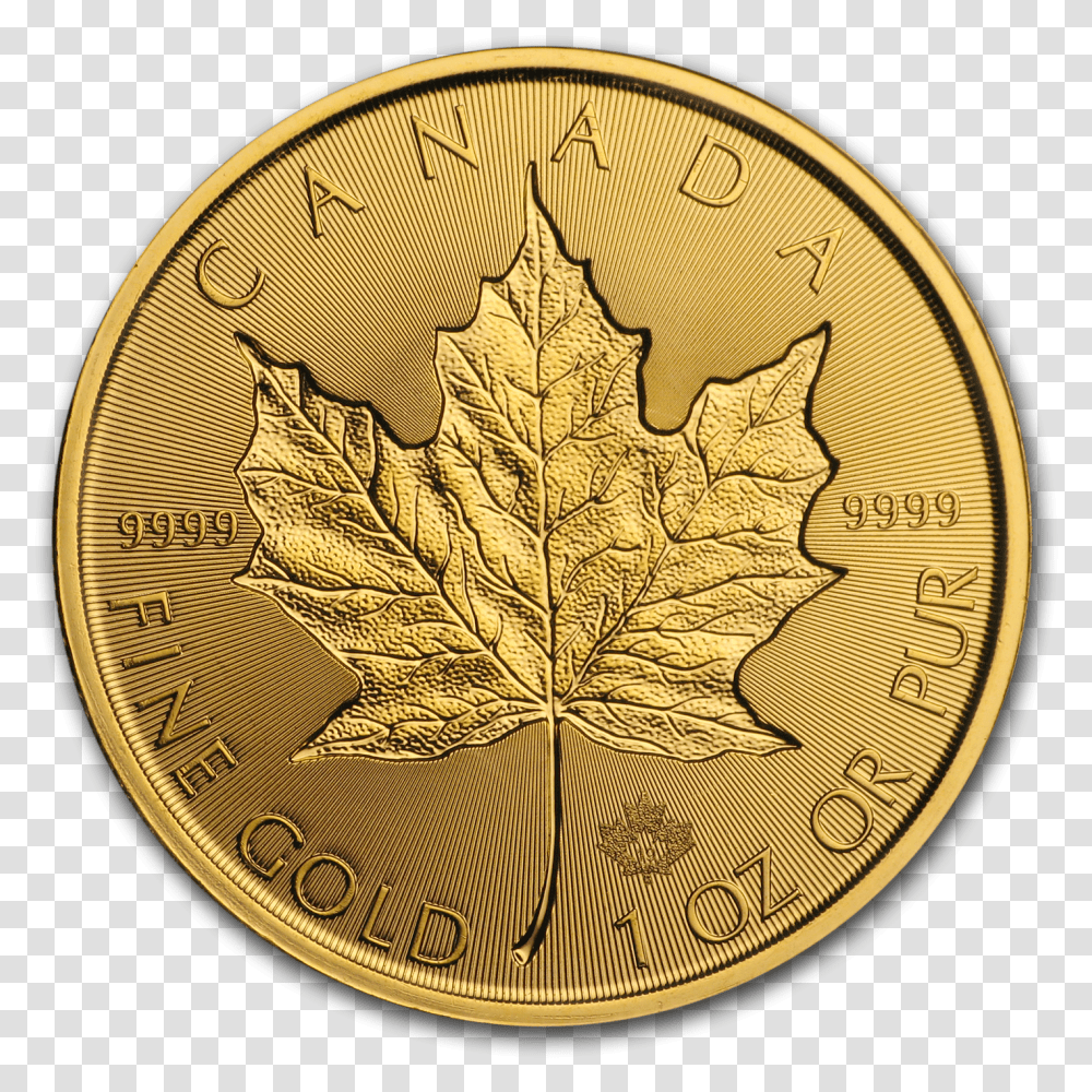 Buy 2019 Canada 1 Oz Gold Incuse Maple Leaf Bu Coin 2019 1 Oz Gold Maple Leaf, Plant, Money, Bronze Transparent Png