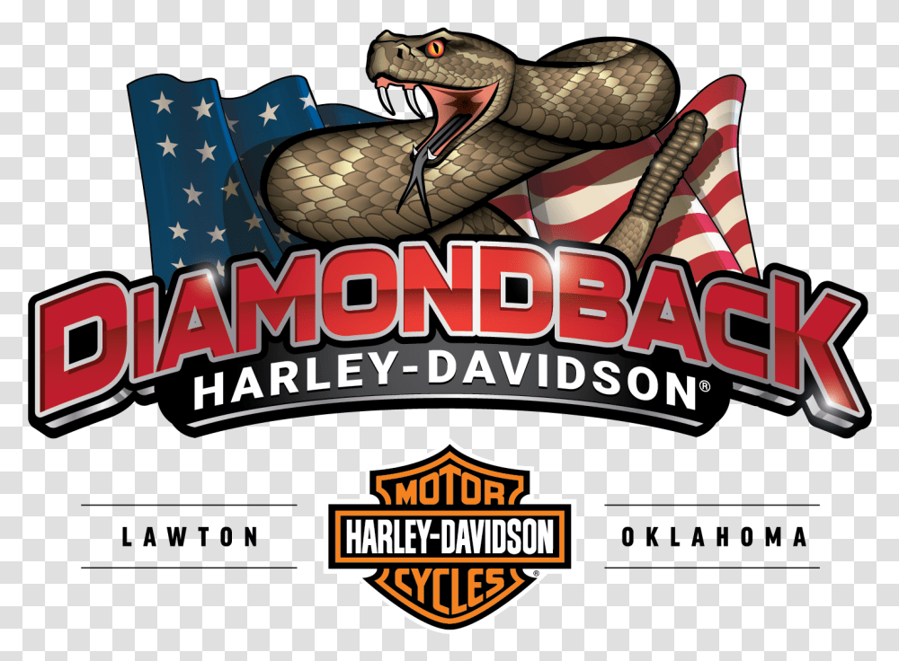 Buy A Harley Dealer Diamondback Davidson Diamondback Harley Davidson Lawton Ok, Reptile, Animal, Snake, Anaconda Transparent Png