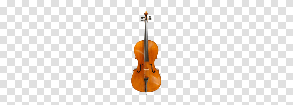 Buy Advanced Cellos Online Or In Store Simply For Strings, Musical Instrument Transparent Png