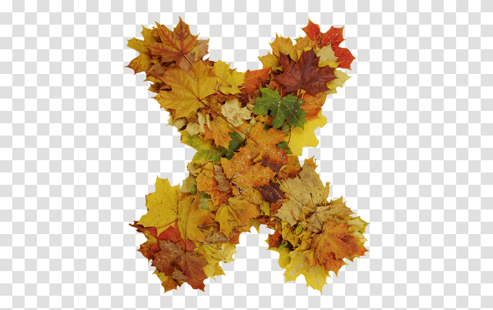 Buy Autumn Font To Get Ready For Design Season Change Maple Leaf, Plant, Tree, Painting, Art Transparent Png
