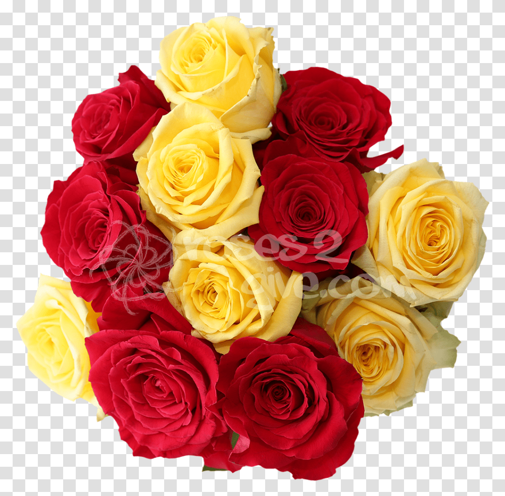 Buy Best Valentines Red Yellow Red Rose Flower, Plant, Blossom, Flower Bouquet, Flower Arrangement Transparent Png